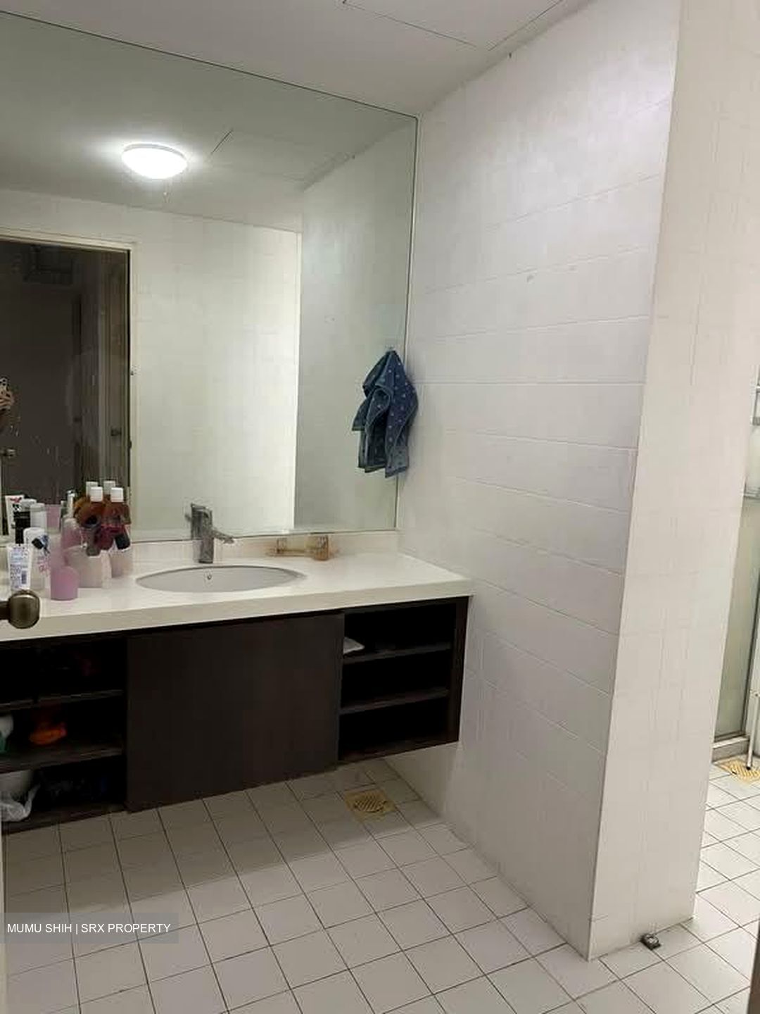 Bayshore Park (D16), Condominium #539185631